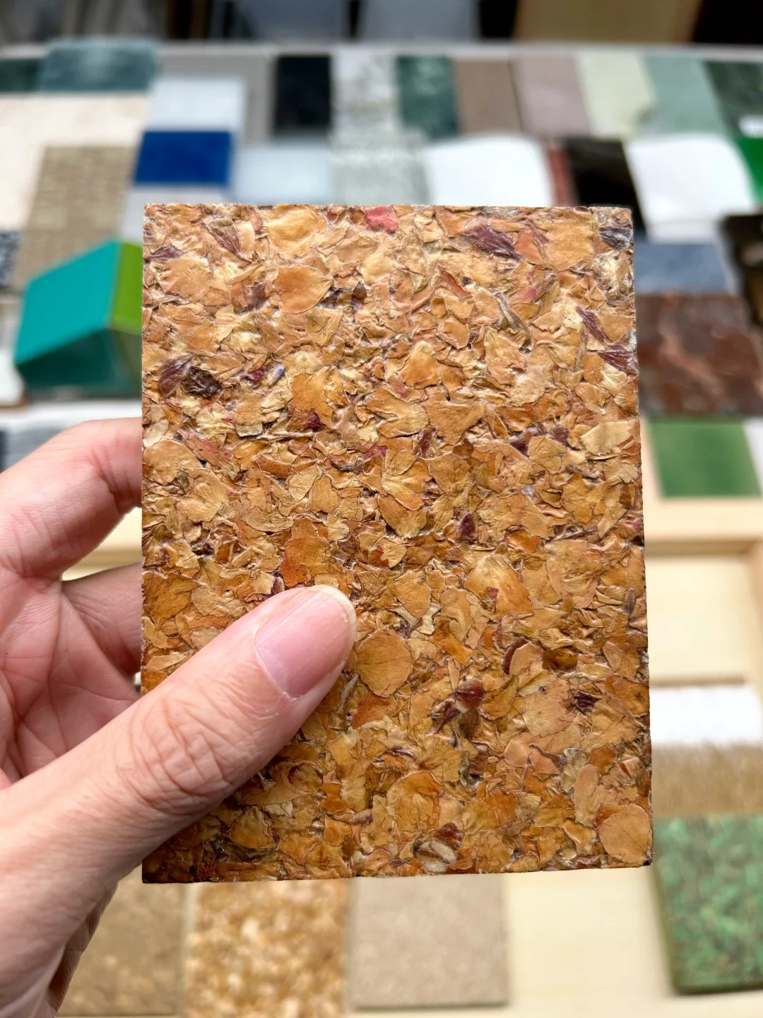 48小时样品极速达｜绿色基因