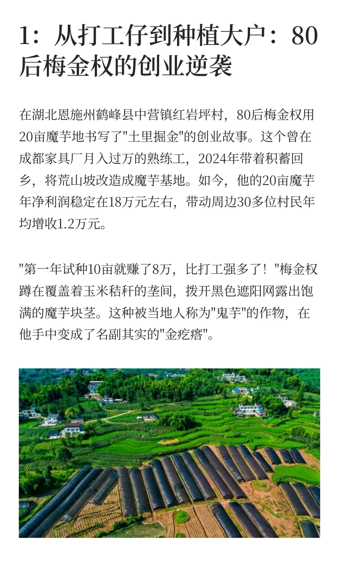 什么种植行业这么赚钱？80后小伙种了20亩，