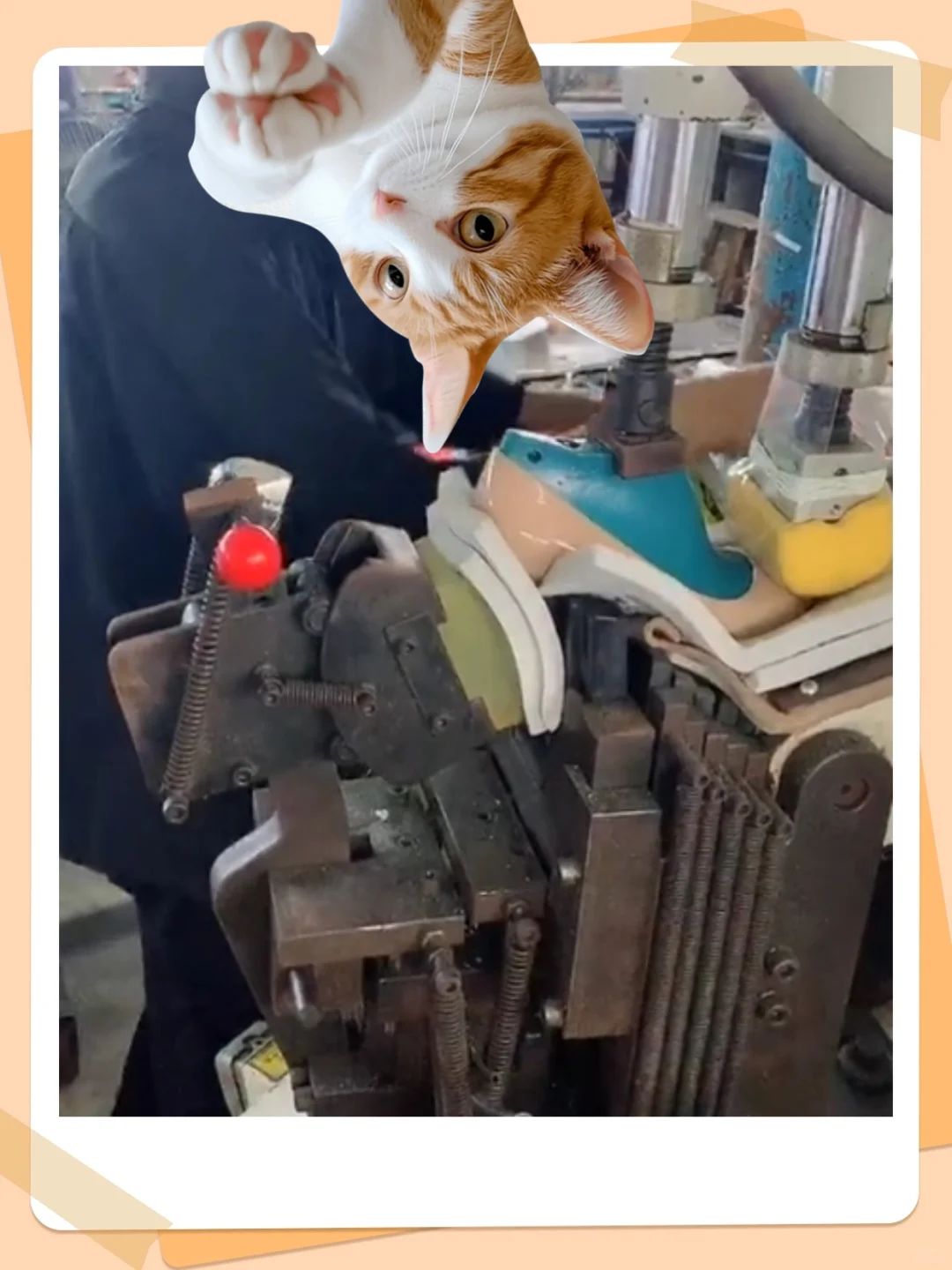 爆款源头鞋厂··女鞋供应链