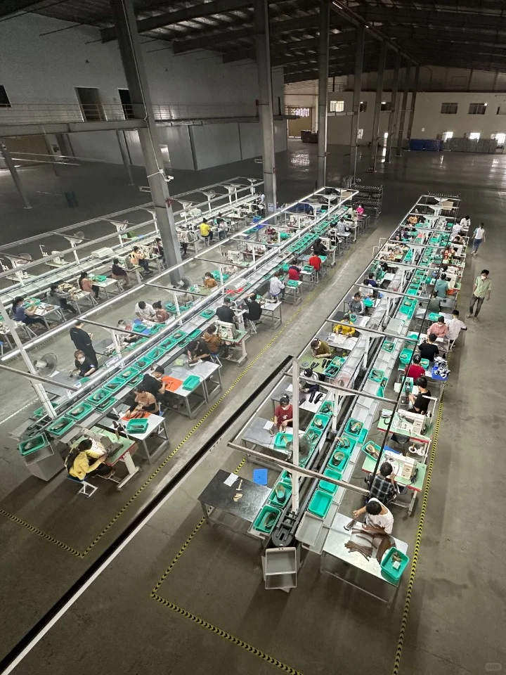 是的，我们在越南建厂了