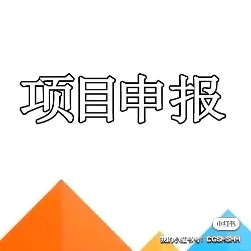 专精特新小巨人申报指标