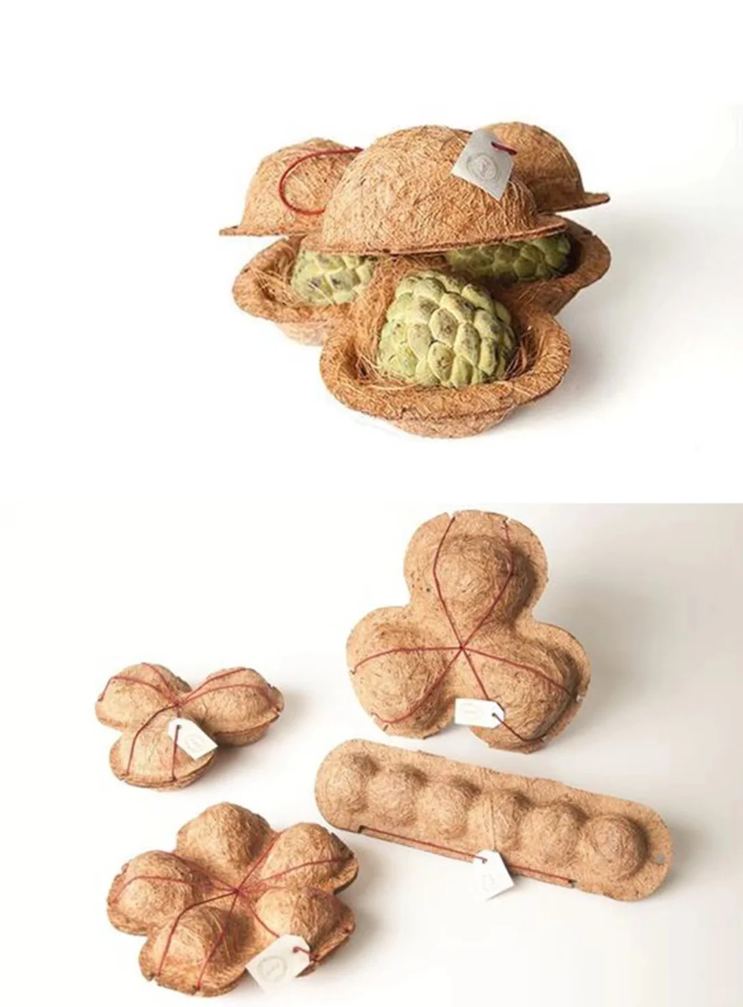 由椰子壳和淀粉做成的环保包装