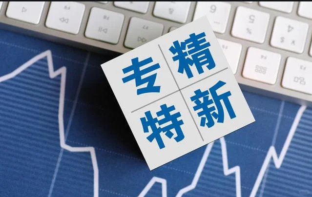 专精特新小巨人