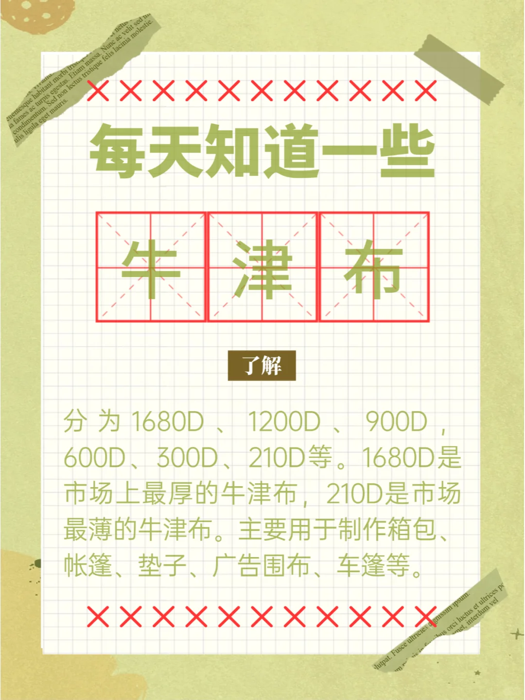 2024年度专业级荧光牛津布面料 买它！