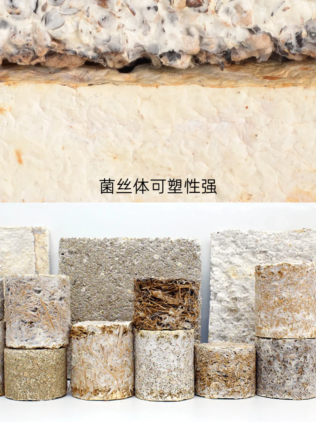 取代塑料的可持续新材料,100%可降解