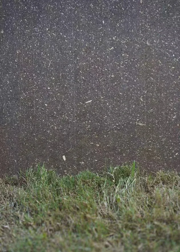 由咖啡渣☕️秸秆?回收再造成的生物树脂板