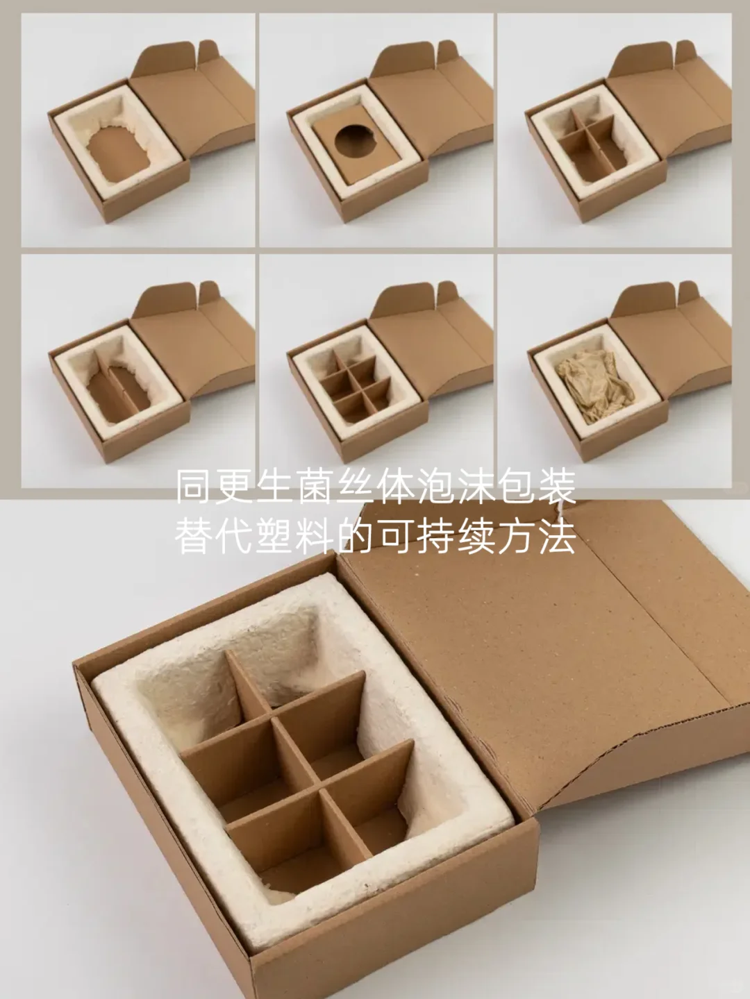 取代塑料的可持续新材料,100%可降解