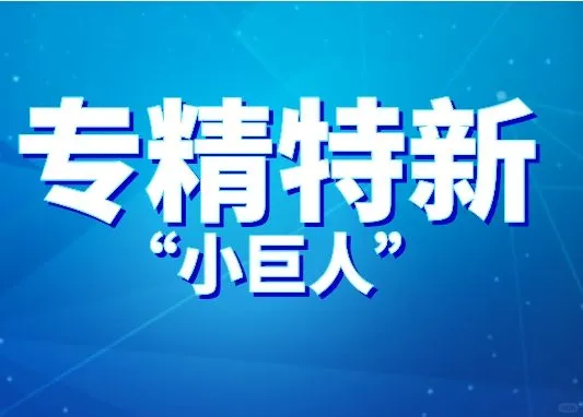 专精特新小巨人的申报标准是什么