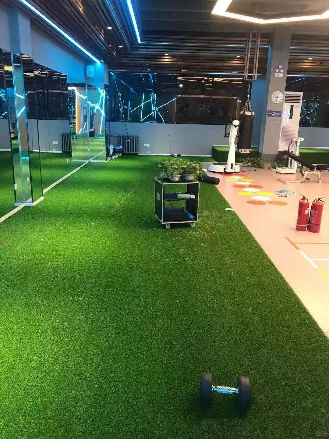 人造人工仿真塑料假草坪地毯健身房装饰草皮