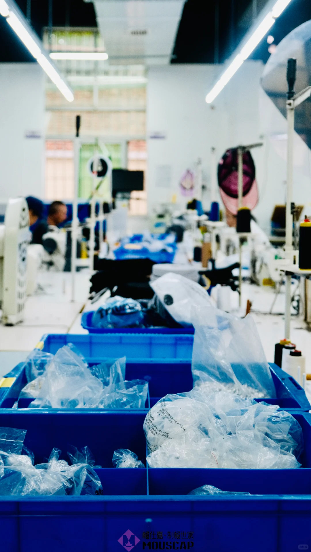 你见过这样的“工厂”吗?