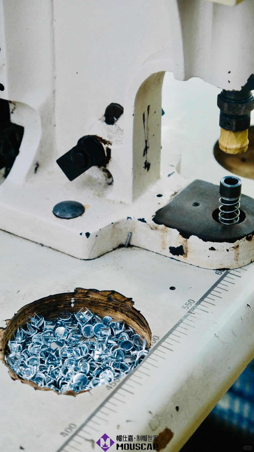 你见过这样的“工厂”吗?