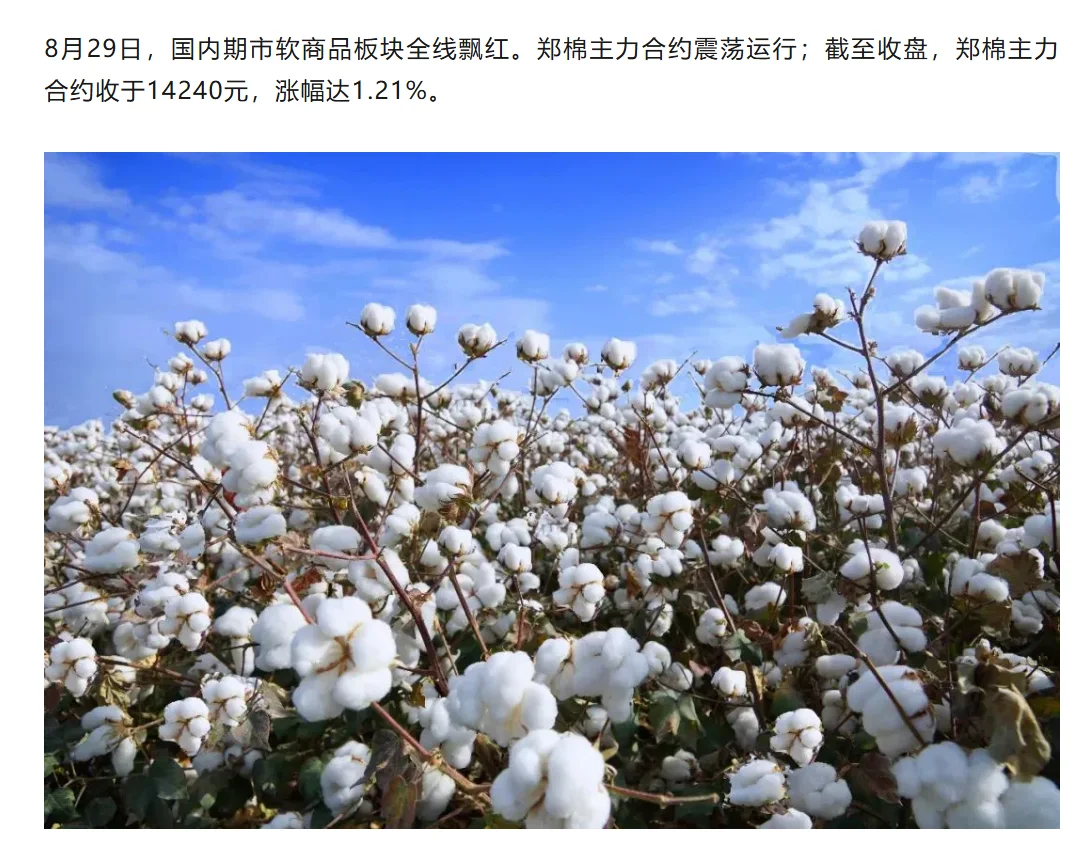 纺织热点 | 下游消费即将进入“金九银十”