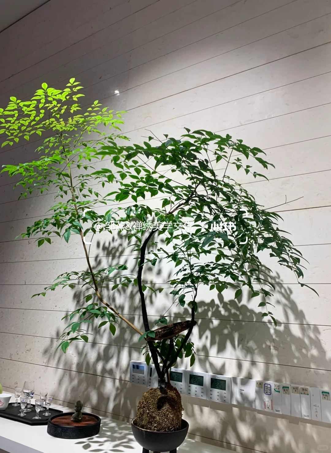 品茶论道，禅绣美学文化的跨界融合