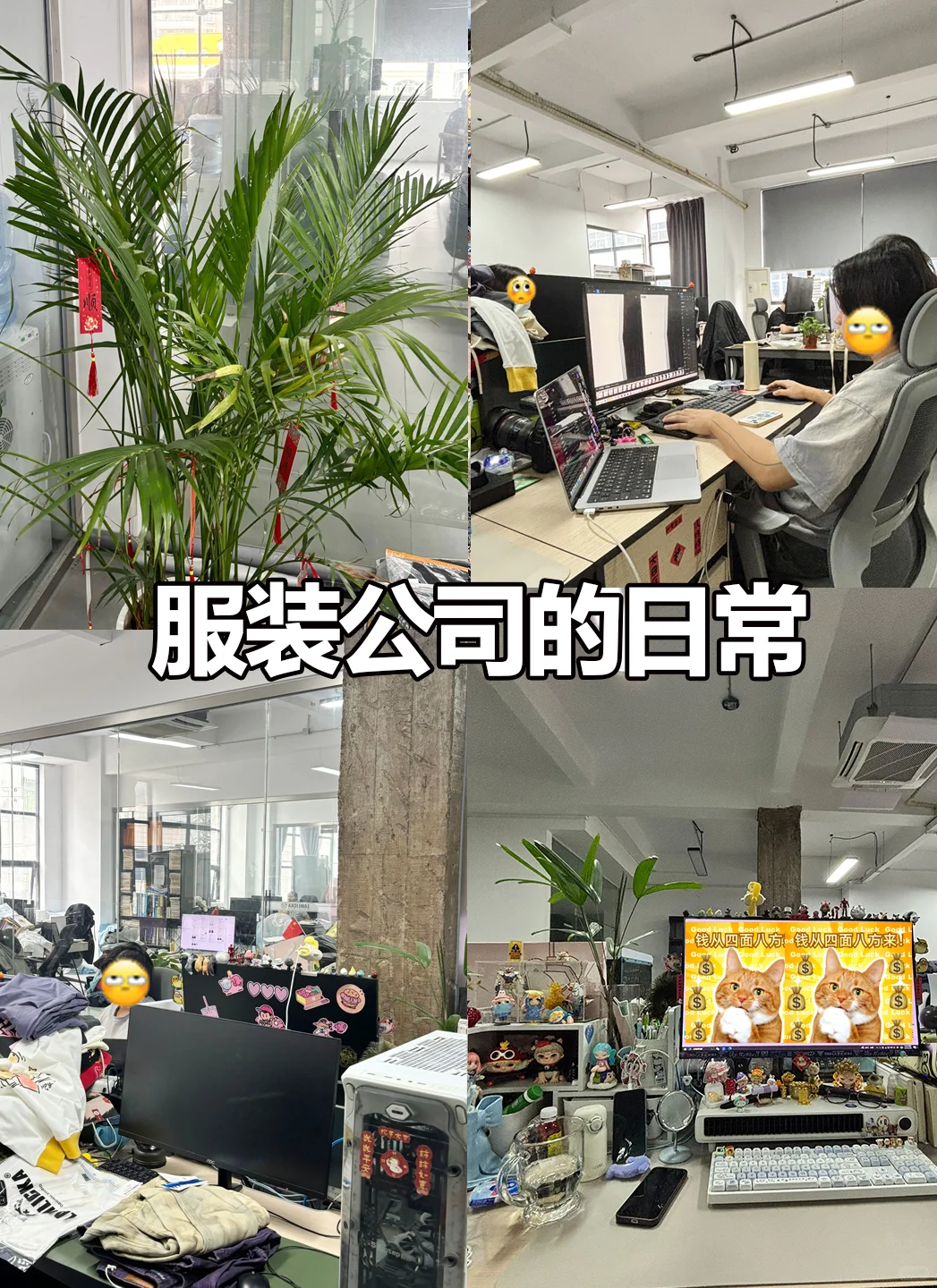 服装公司日常｜台风下的牛马人