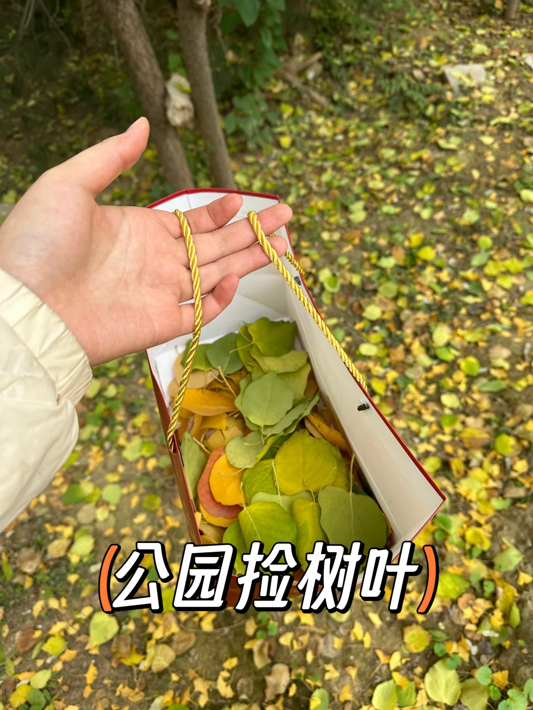 真的被这个帽子惊艳到了！