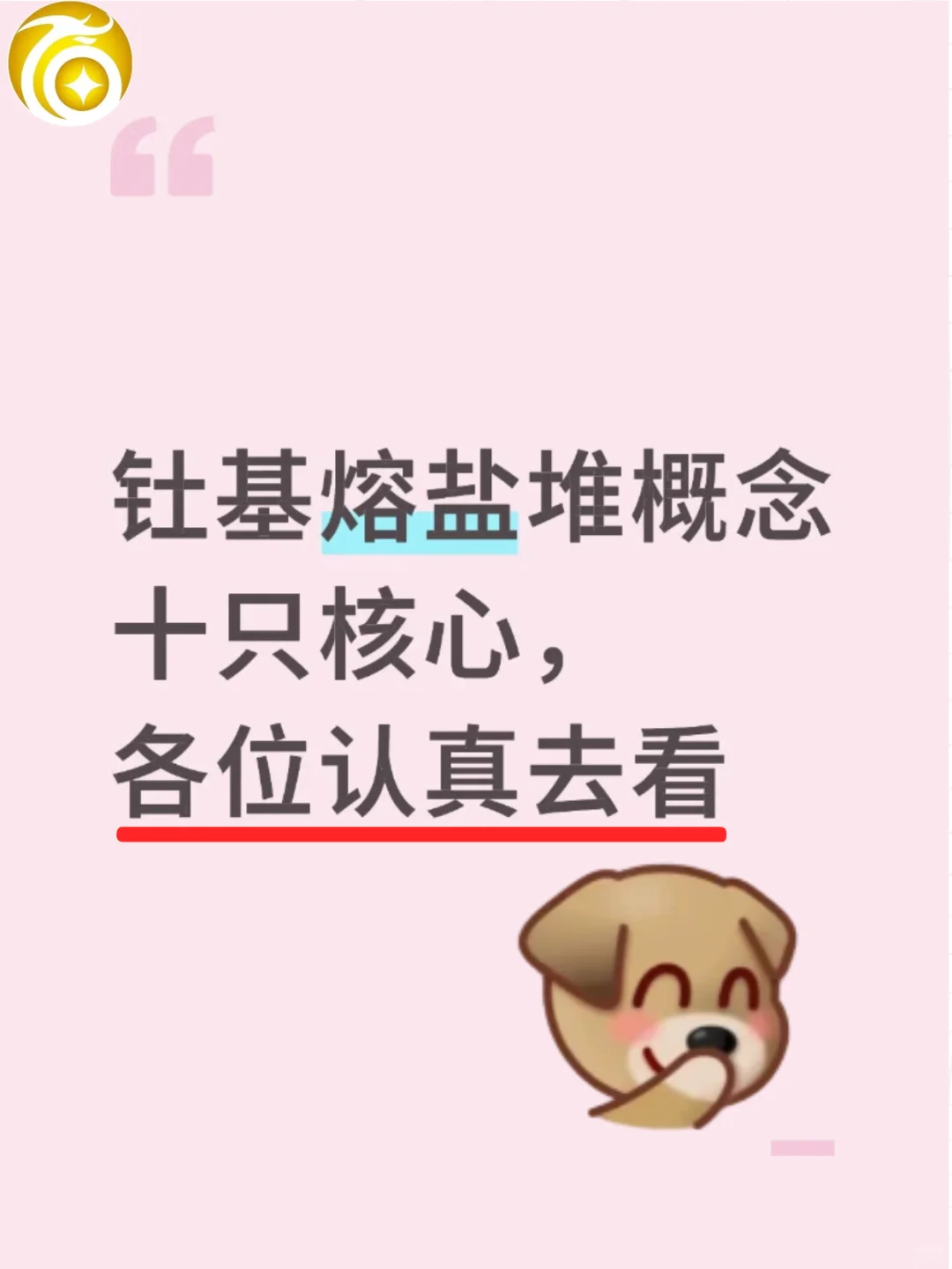 钍基熔盐堆概念十只核心,各位认真去看