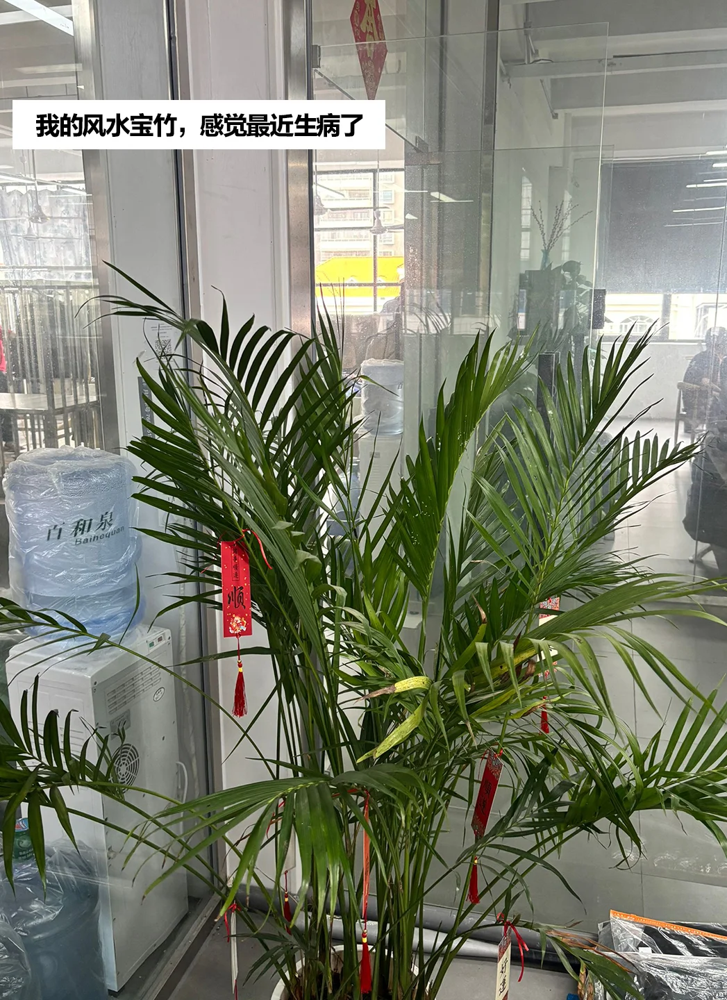 服装公司日常｜台风下的牛马人