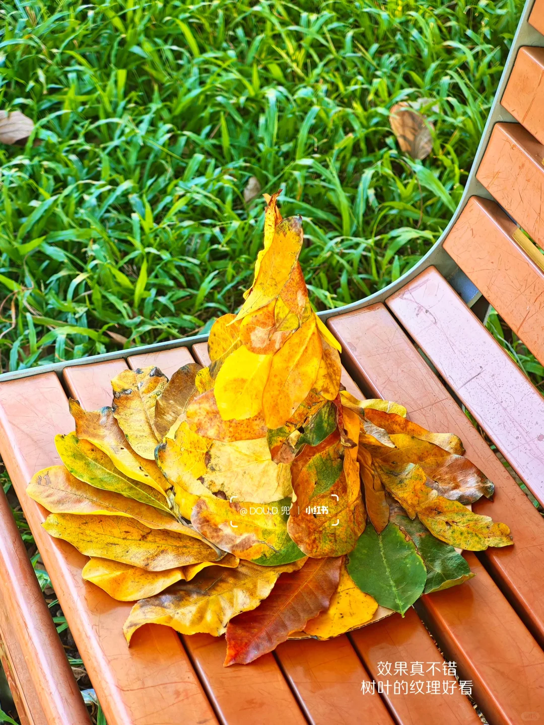 2岁创意手工｜用落叶做一顶属于秋天的手工帽