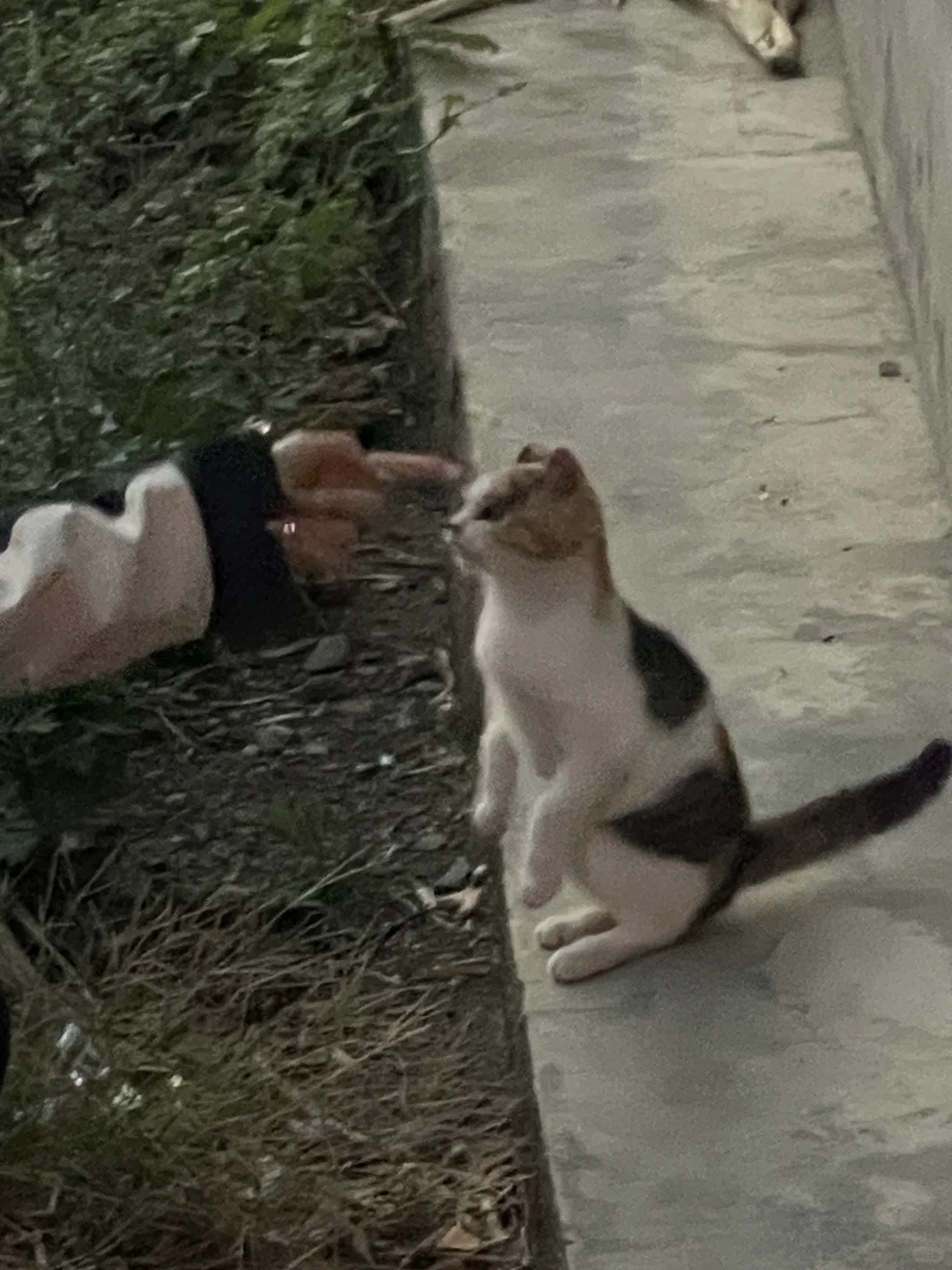 独属于戏曲与乡村的魅力