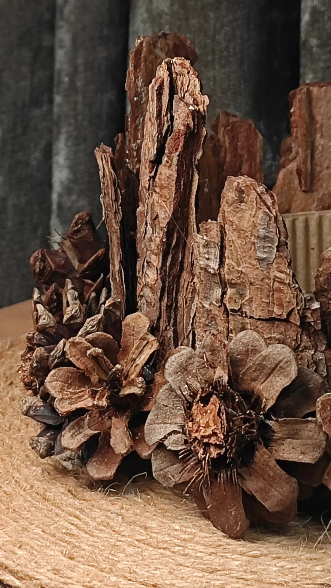 松果松树皮帽子