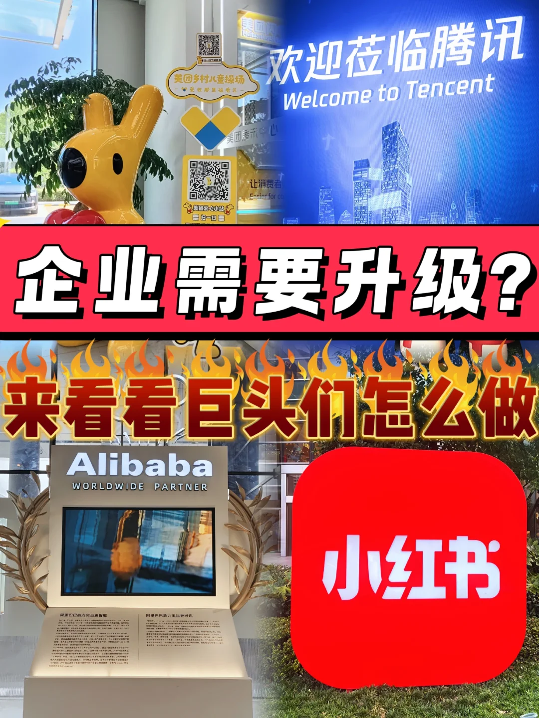 怎么参观企业?!