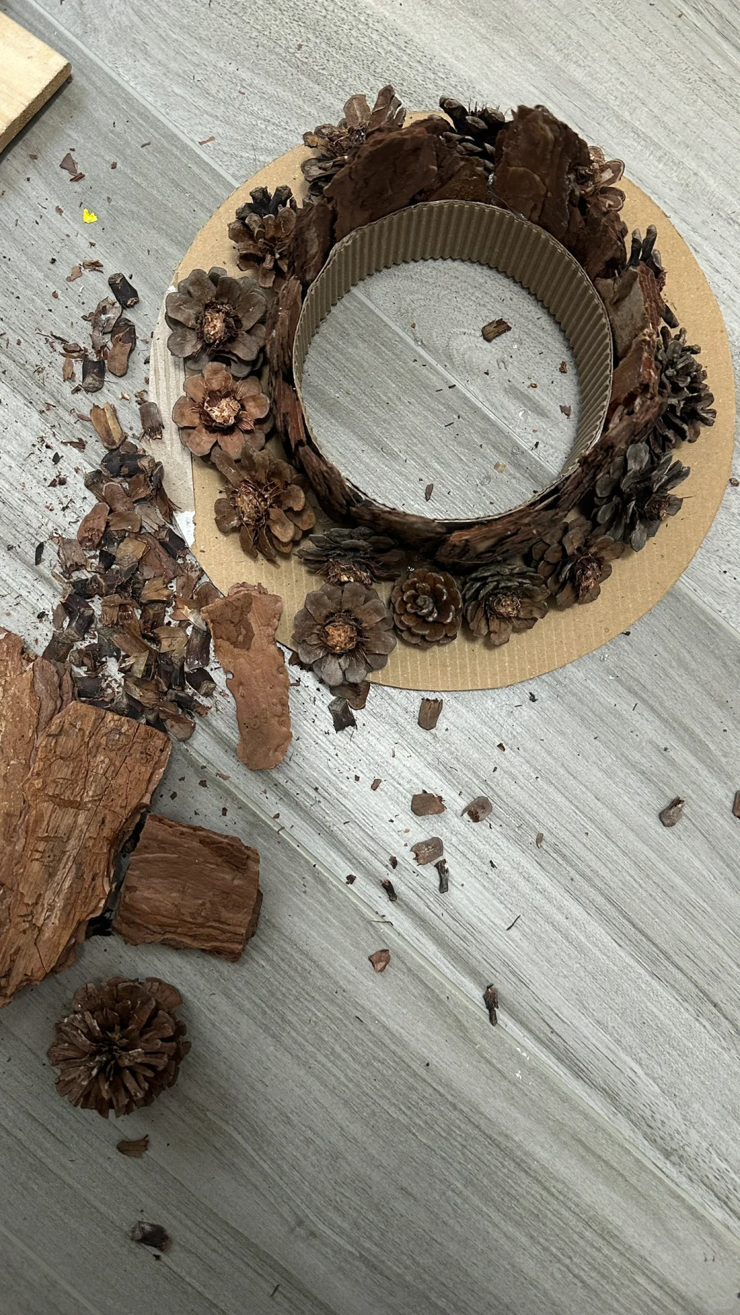 松果松树皮帽子