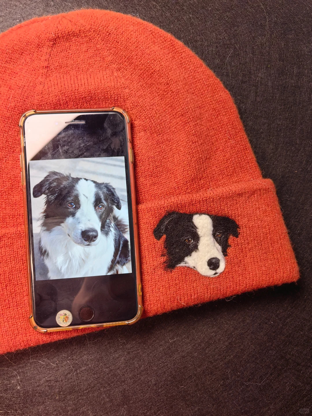 宠物羊毛毡定制|把毛孩子的可爱永远留存✨