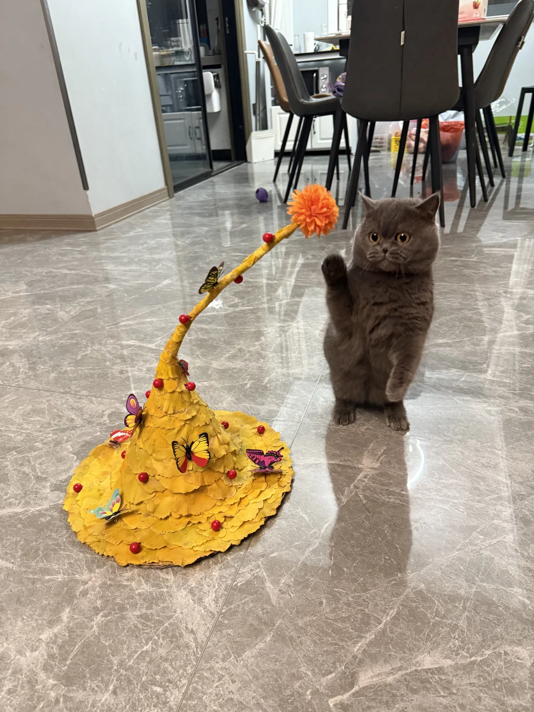 难怪这个帽子能得一等奖,原来这么多人喜欢