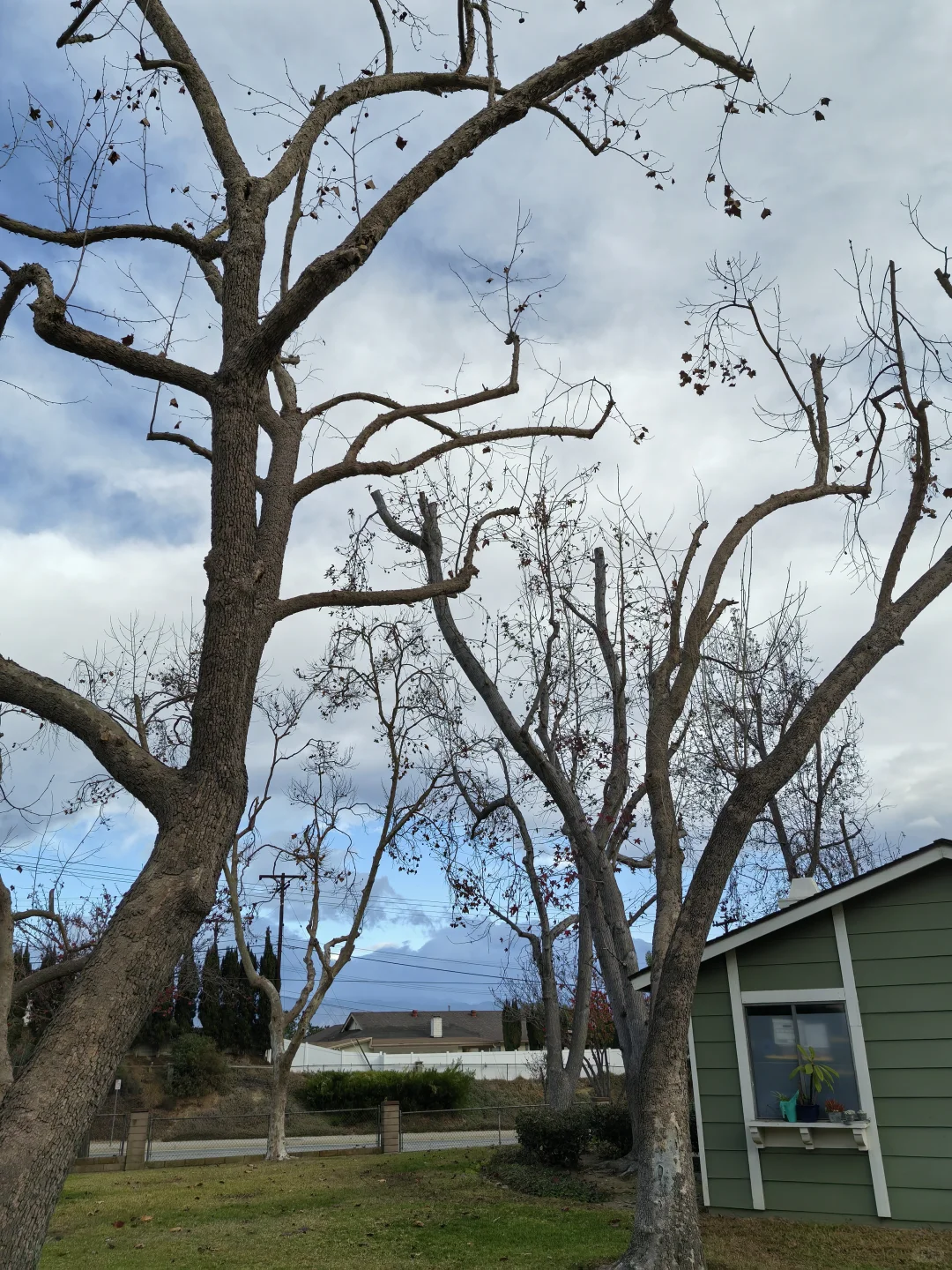 继续跑POD工厂的一天