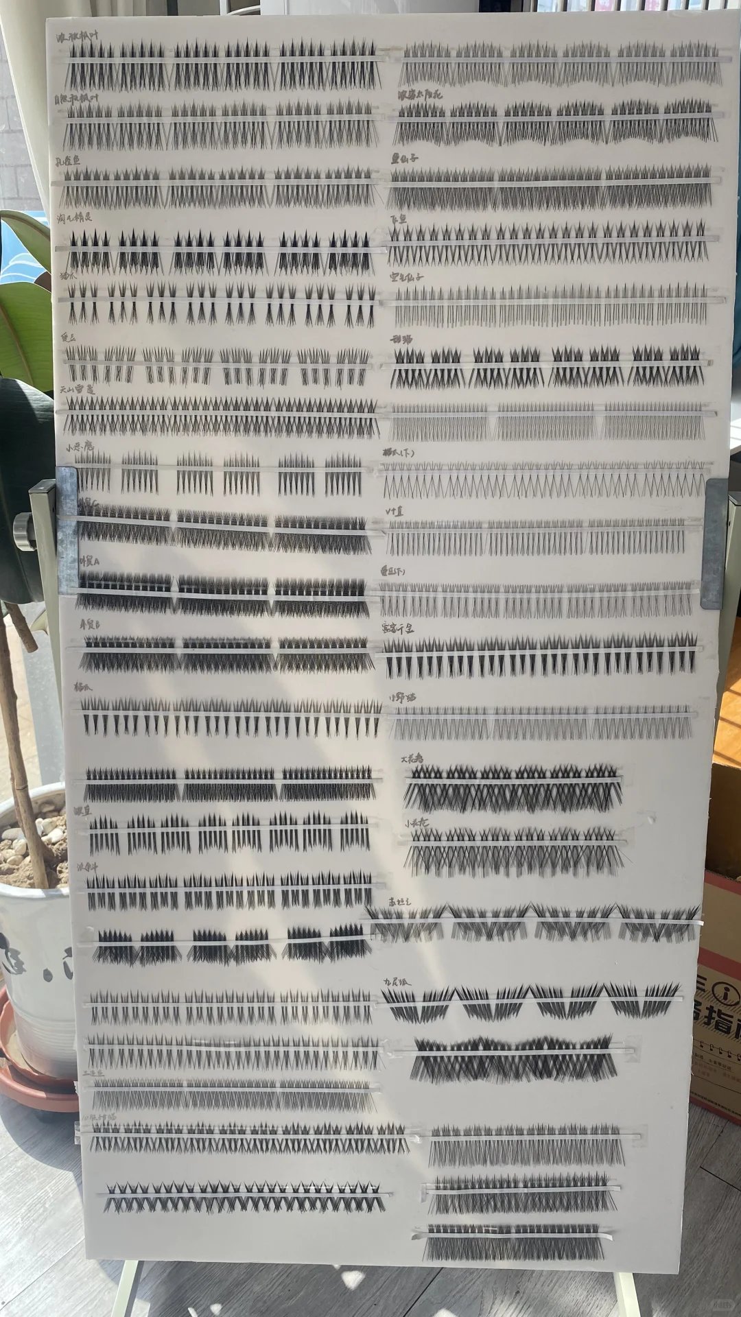 东南亚美妆店主看过来!?源头睫毛工厂