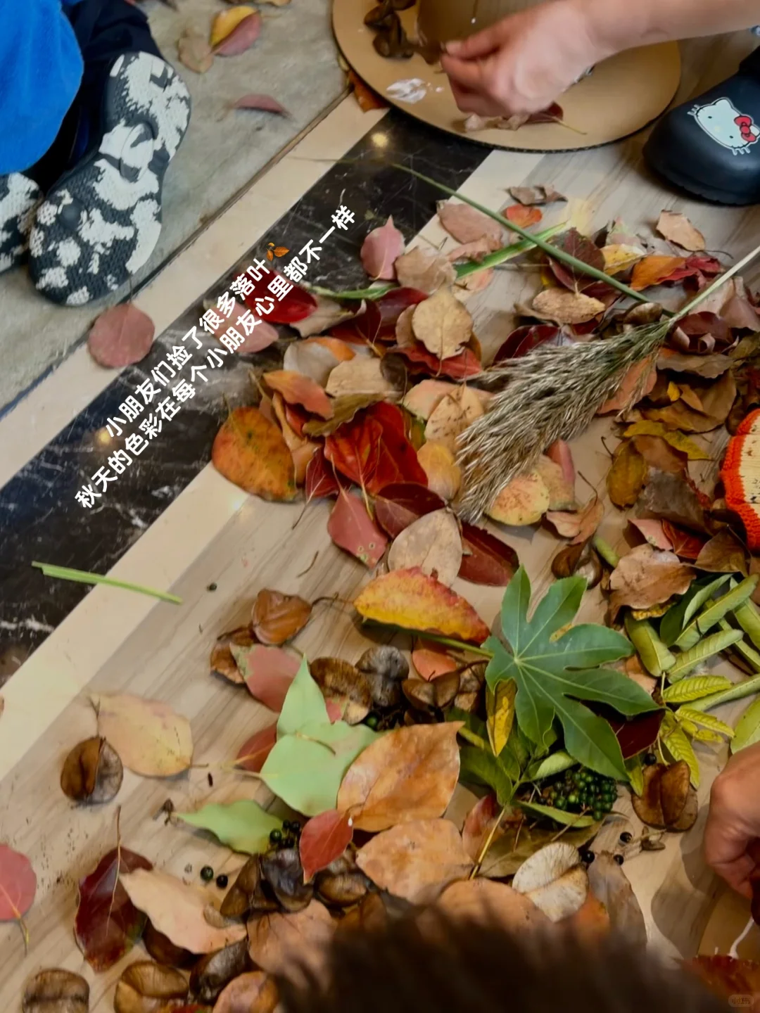 我们用秋天做了一顶帽子