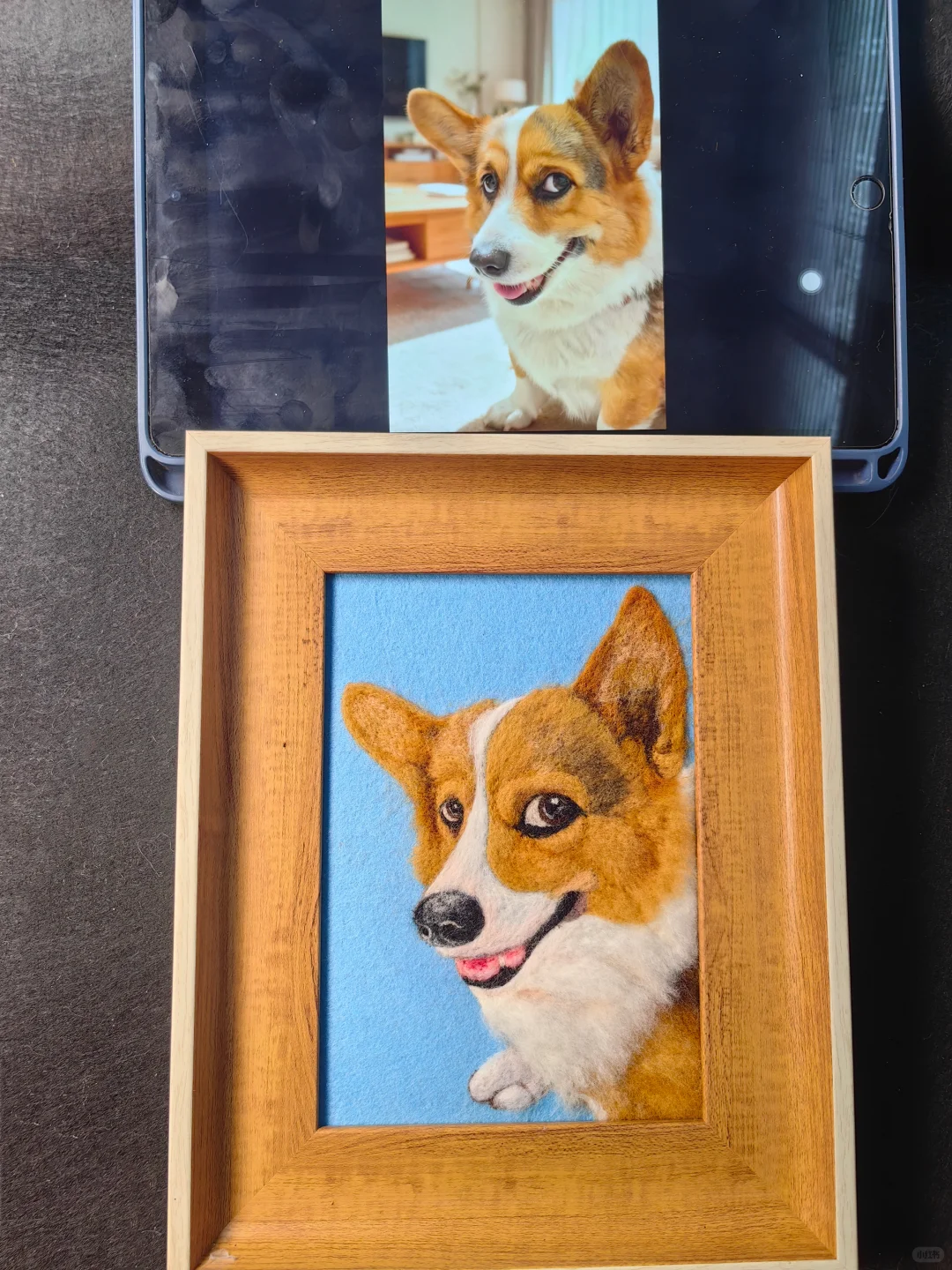 宠物羊毛毡定制|把毛孩子的可爱永远留存✨