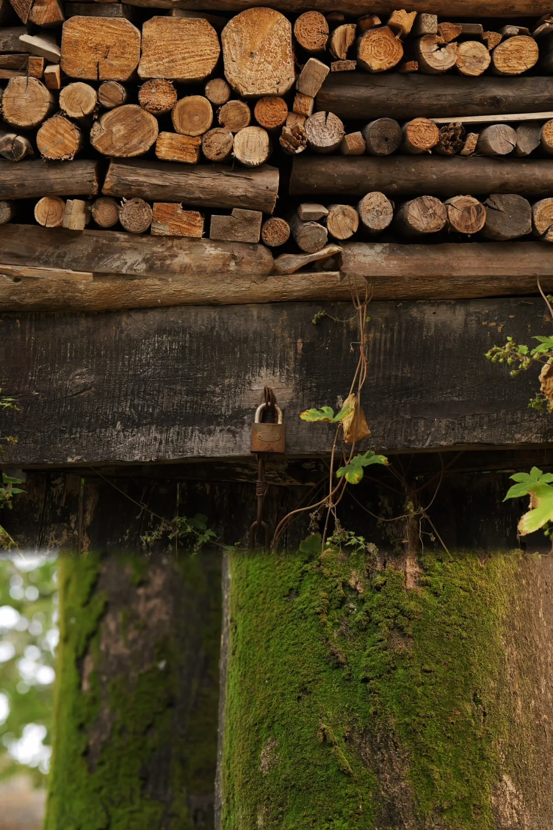 独属于戏曲与乡村的魅力