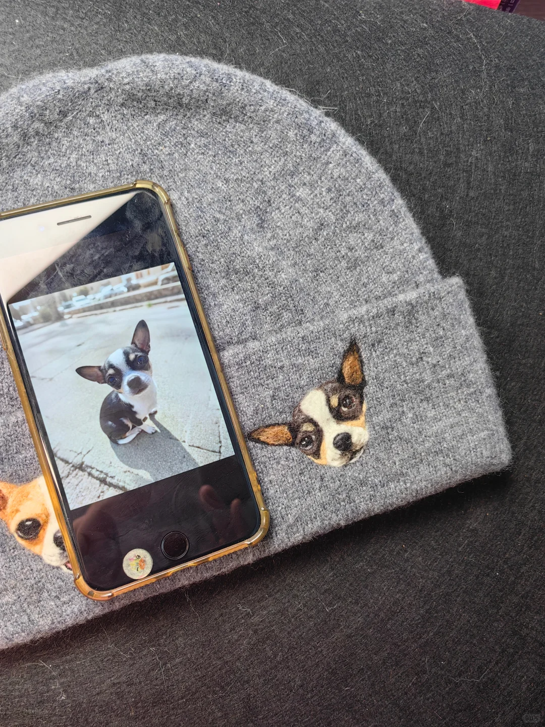 宠物羊毛毡定制|把毛孩子的可爱永远留存✨