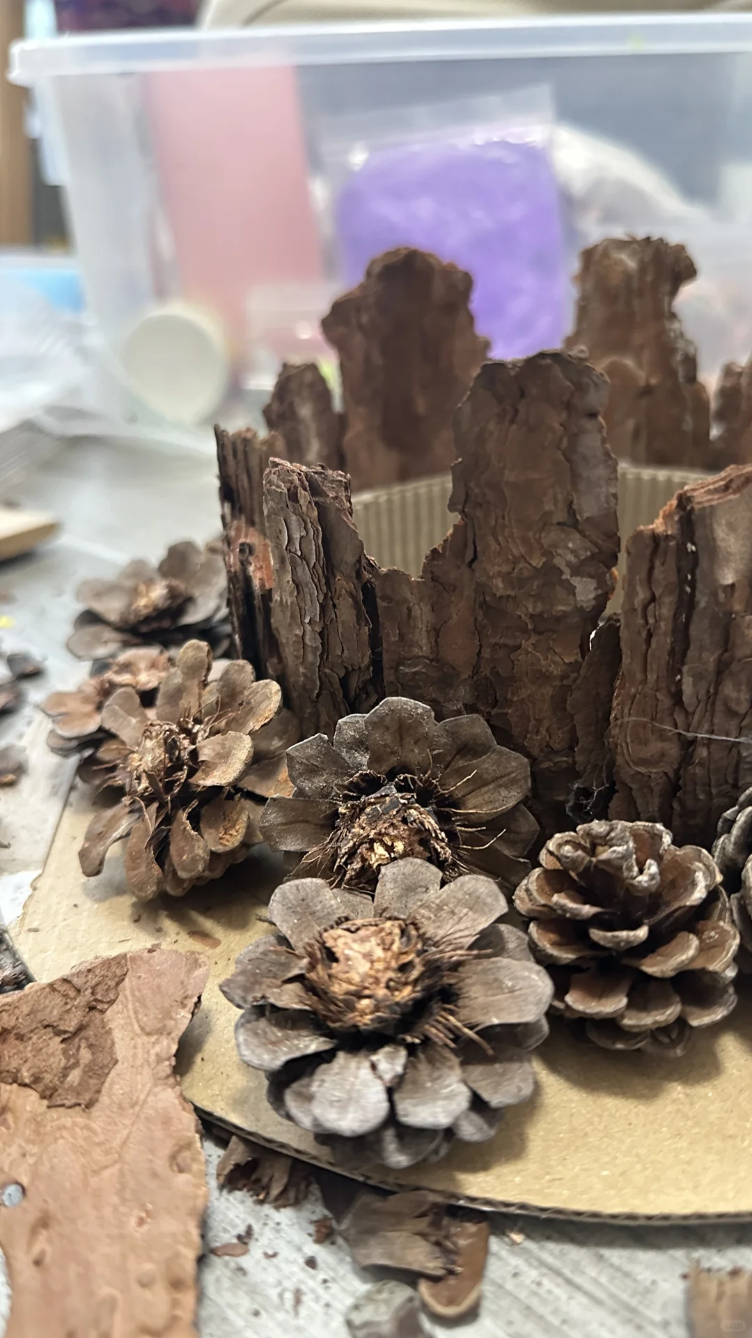 松果松树皮帽子