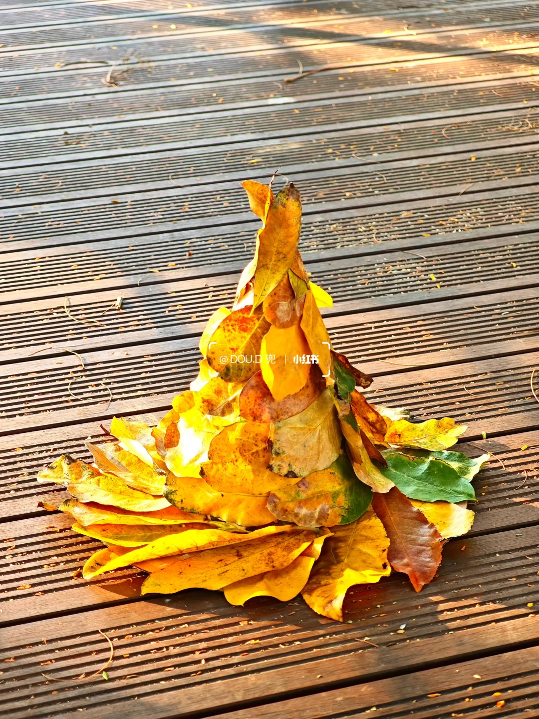 2岁创意手工｜用落叶做一顶属于秋天的手工帽