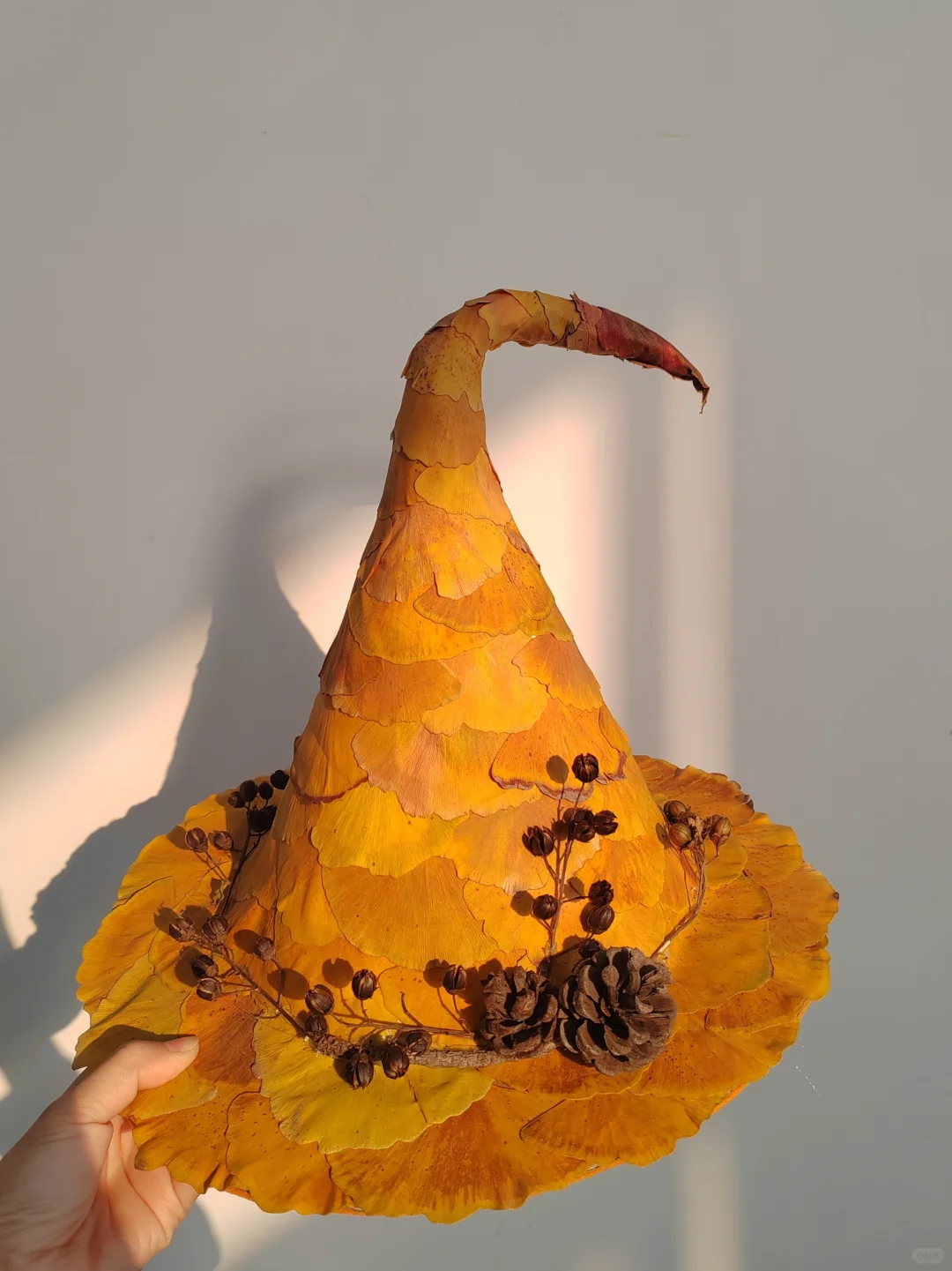 是秋日限定的魔法帽呀?