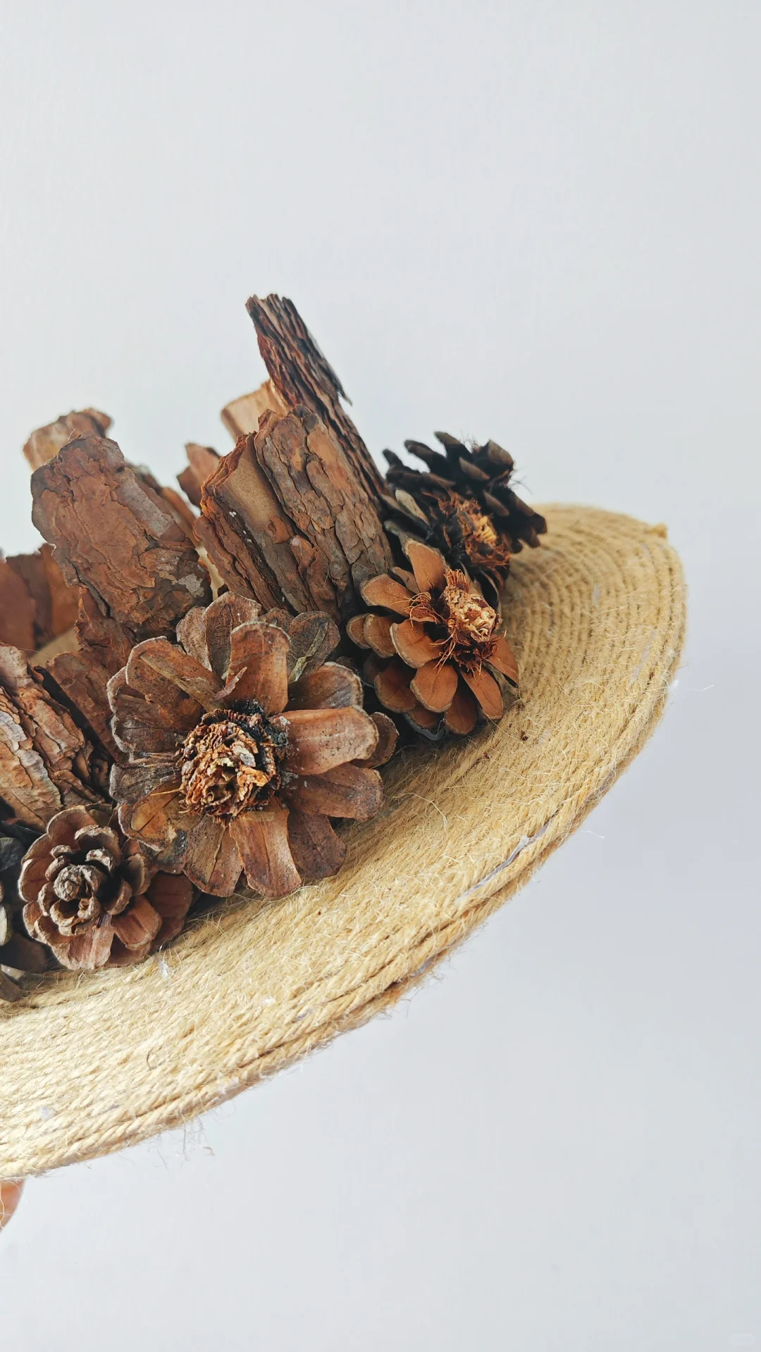 松果松树皮帽子