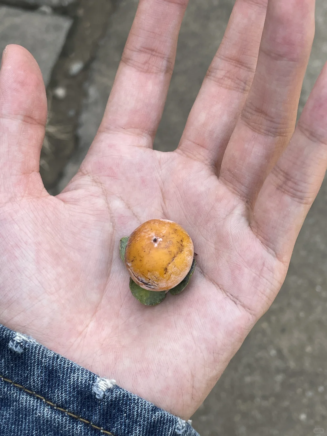 独属于戏曲与乡村的魅力