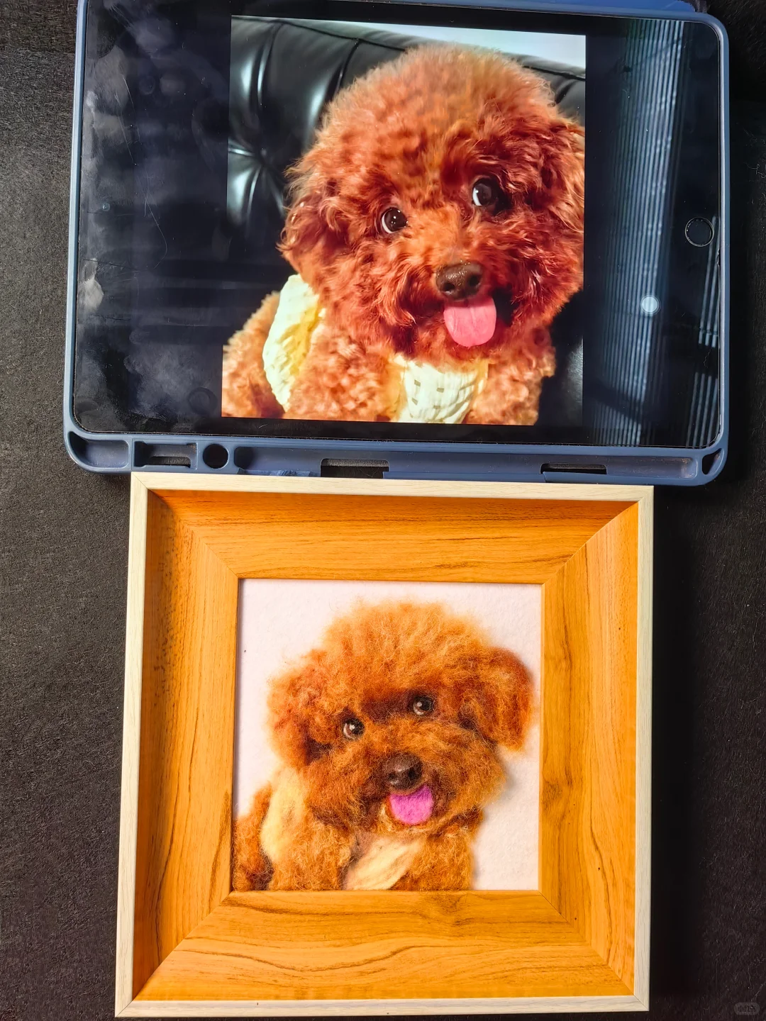 宠物羊毛毡定制|把毛孩子的可爱永远留存✨