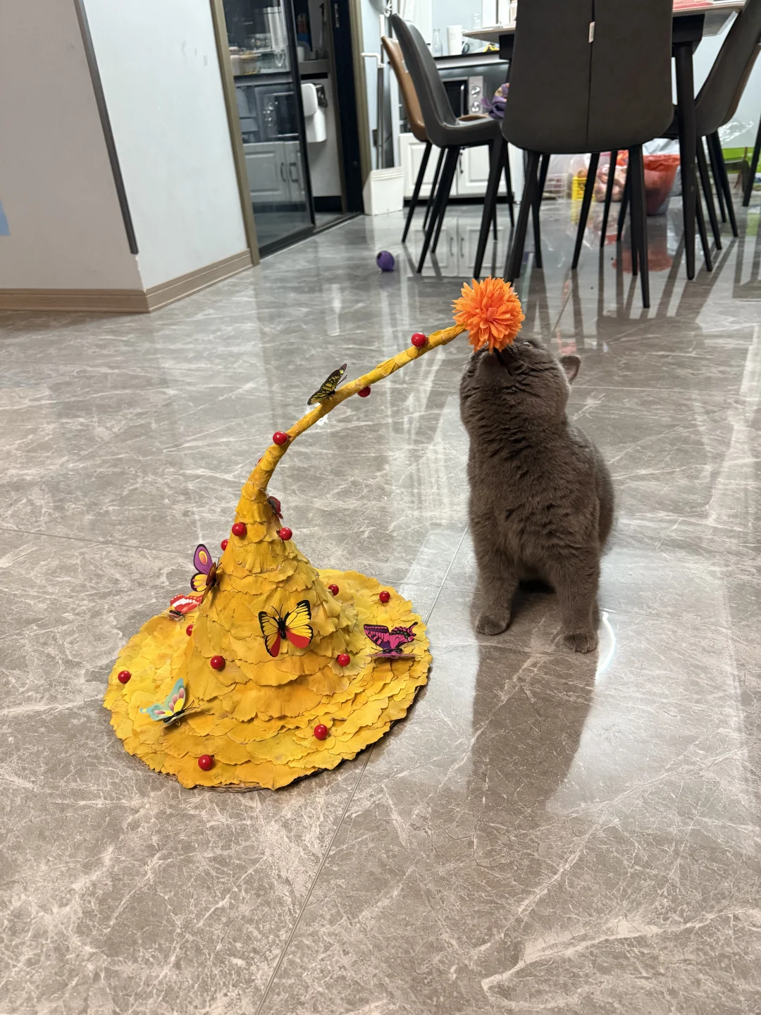 难怪这个帽子能得一等奖,原来这么多人喜欢