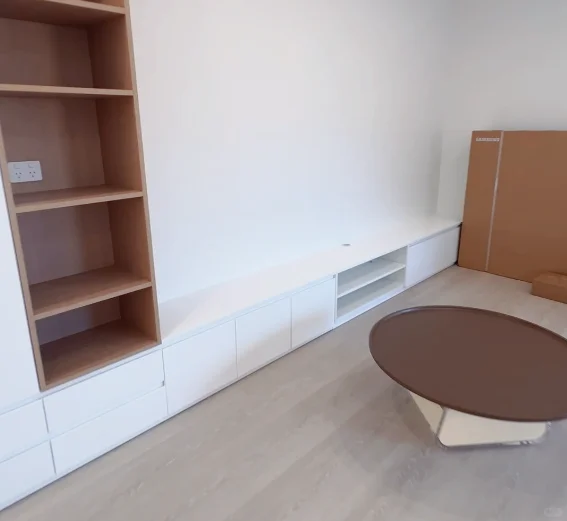 定制柜设计国内供应,轻定制时代已来