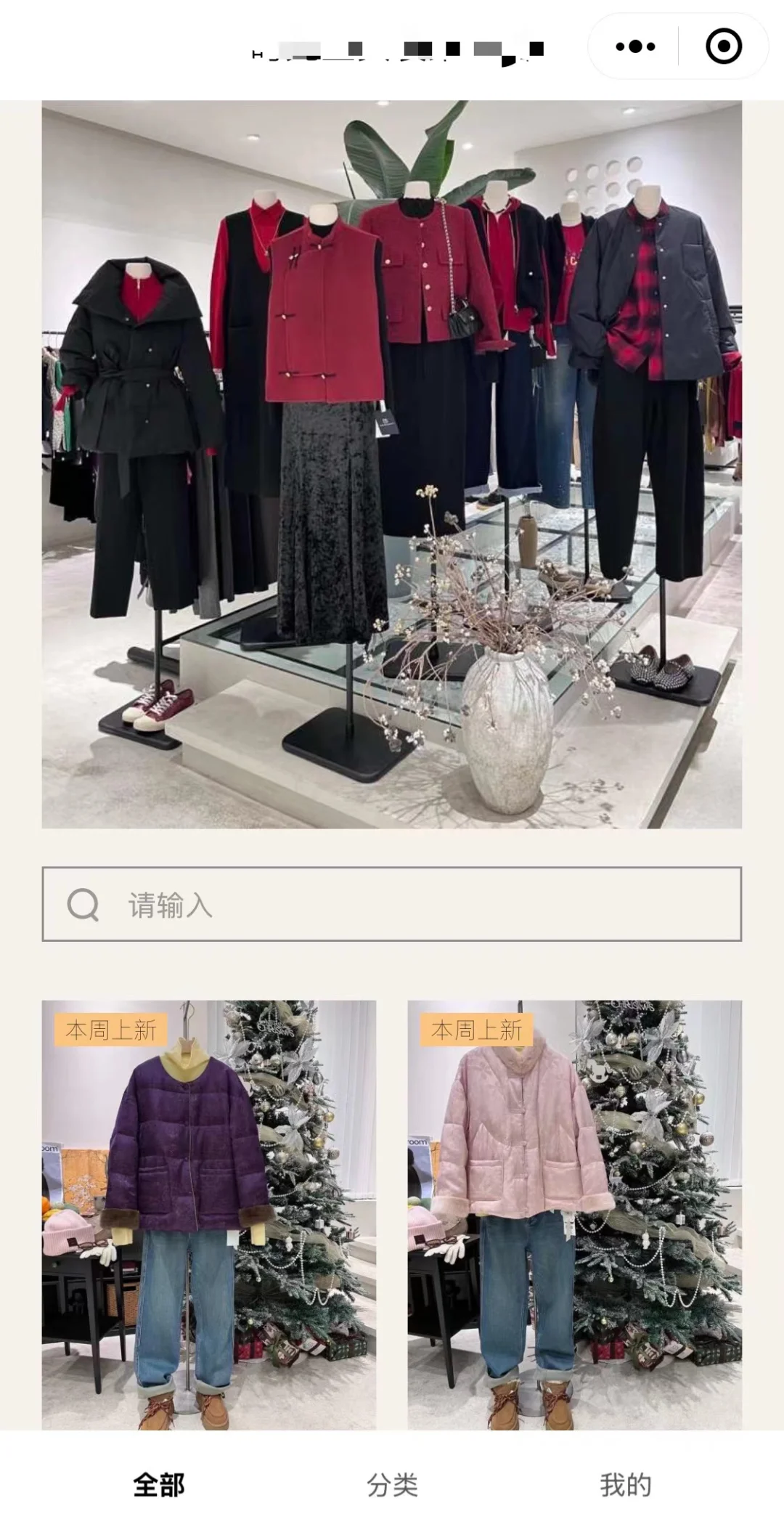 服装店+私域=未来