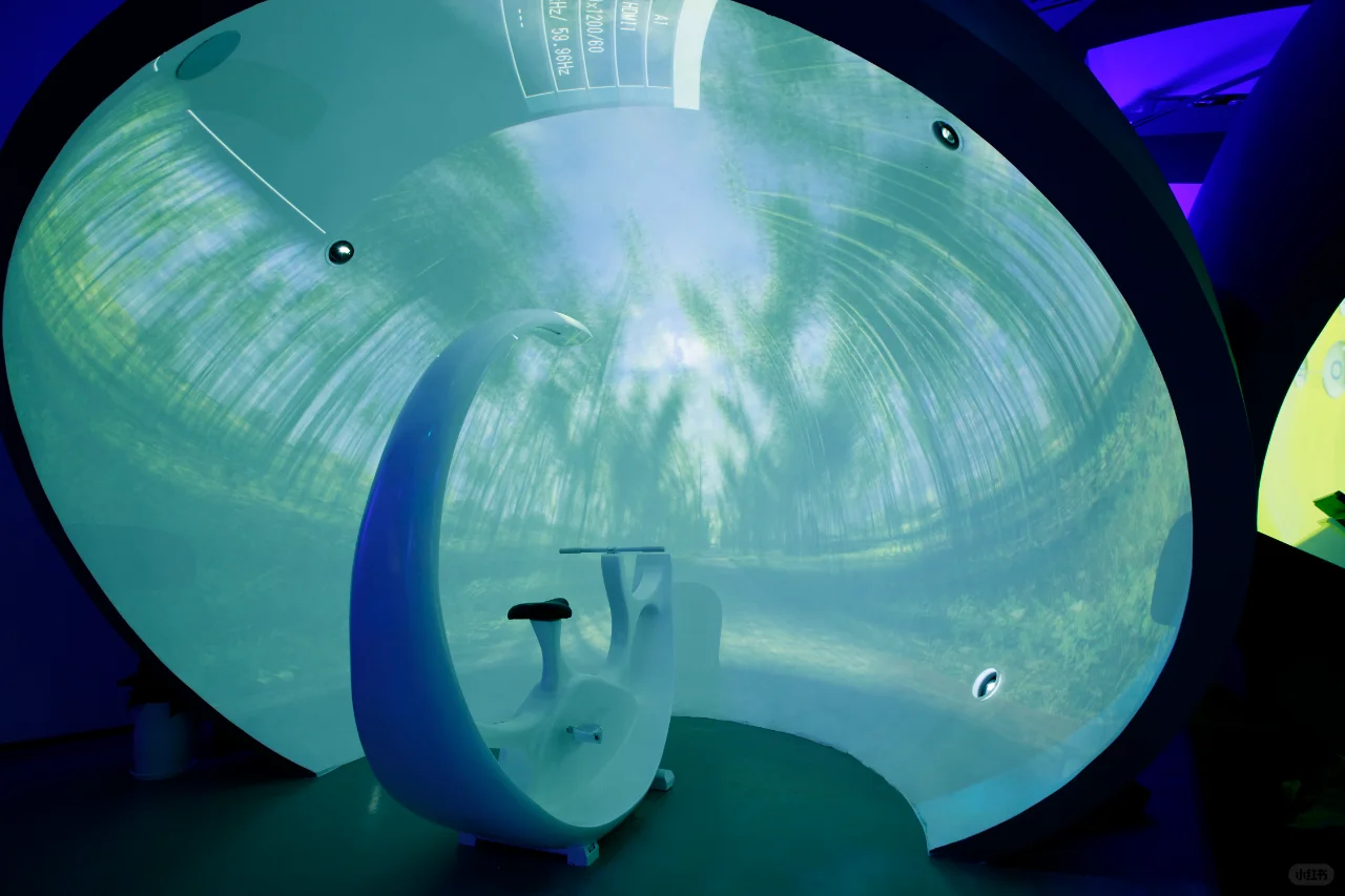 数字多媒体虚拟漫游，真实身临其境的沉浸感