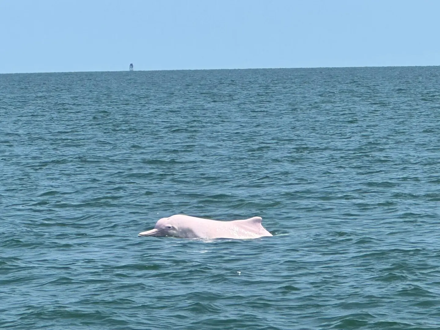 广州人的真实收入