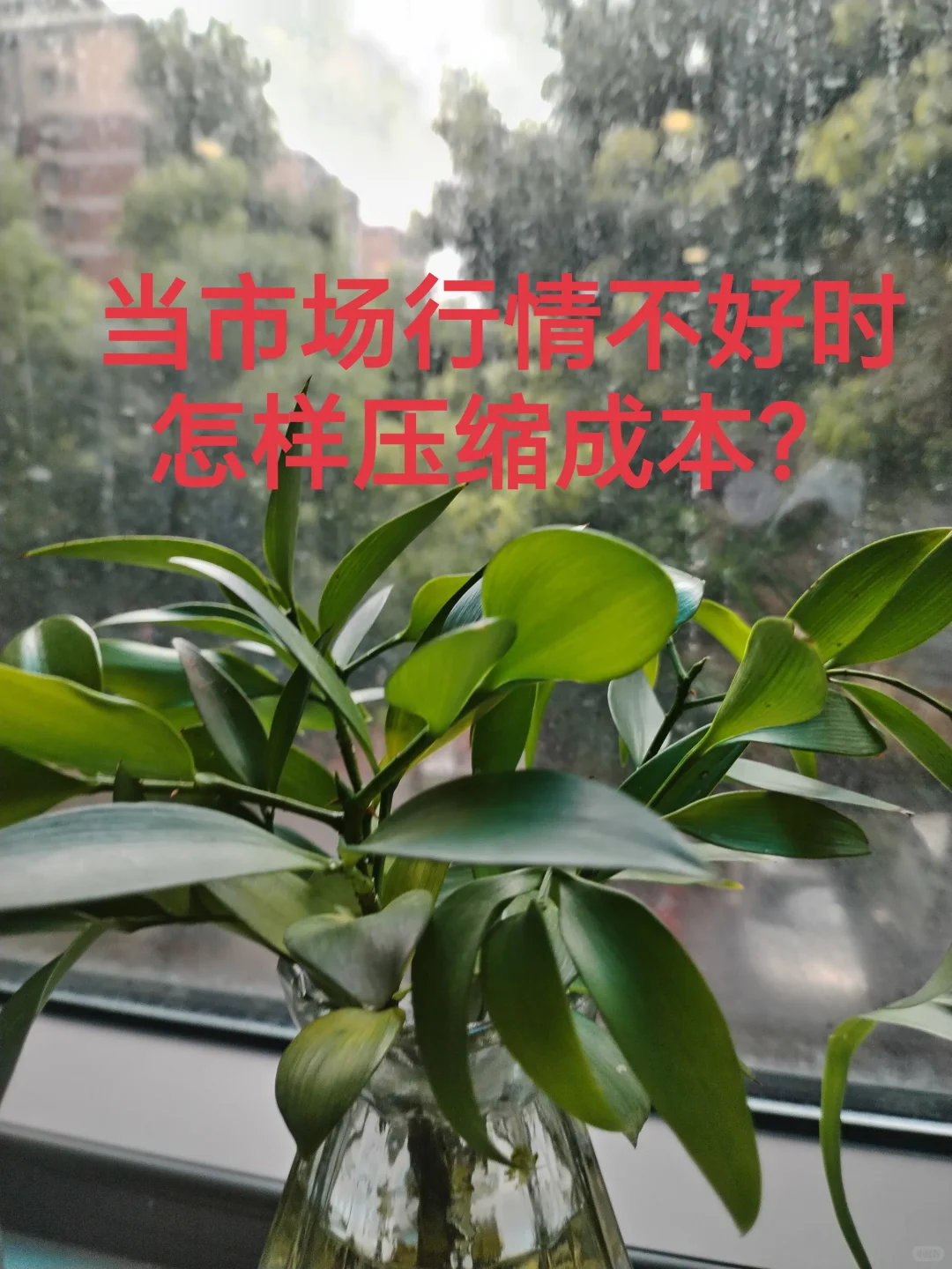 行情不好，怎么压缩成本？
