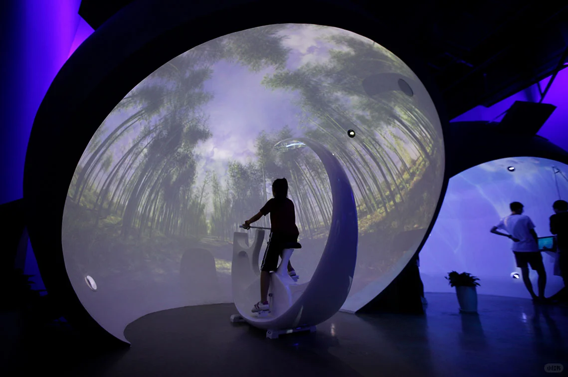 数字多媒体虚拟漫游，真实身临其境的沉浸感