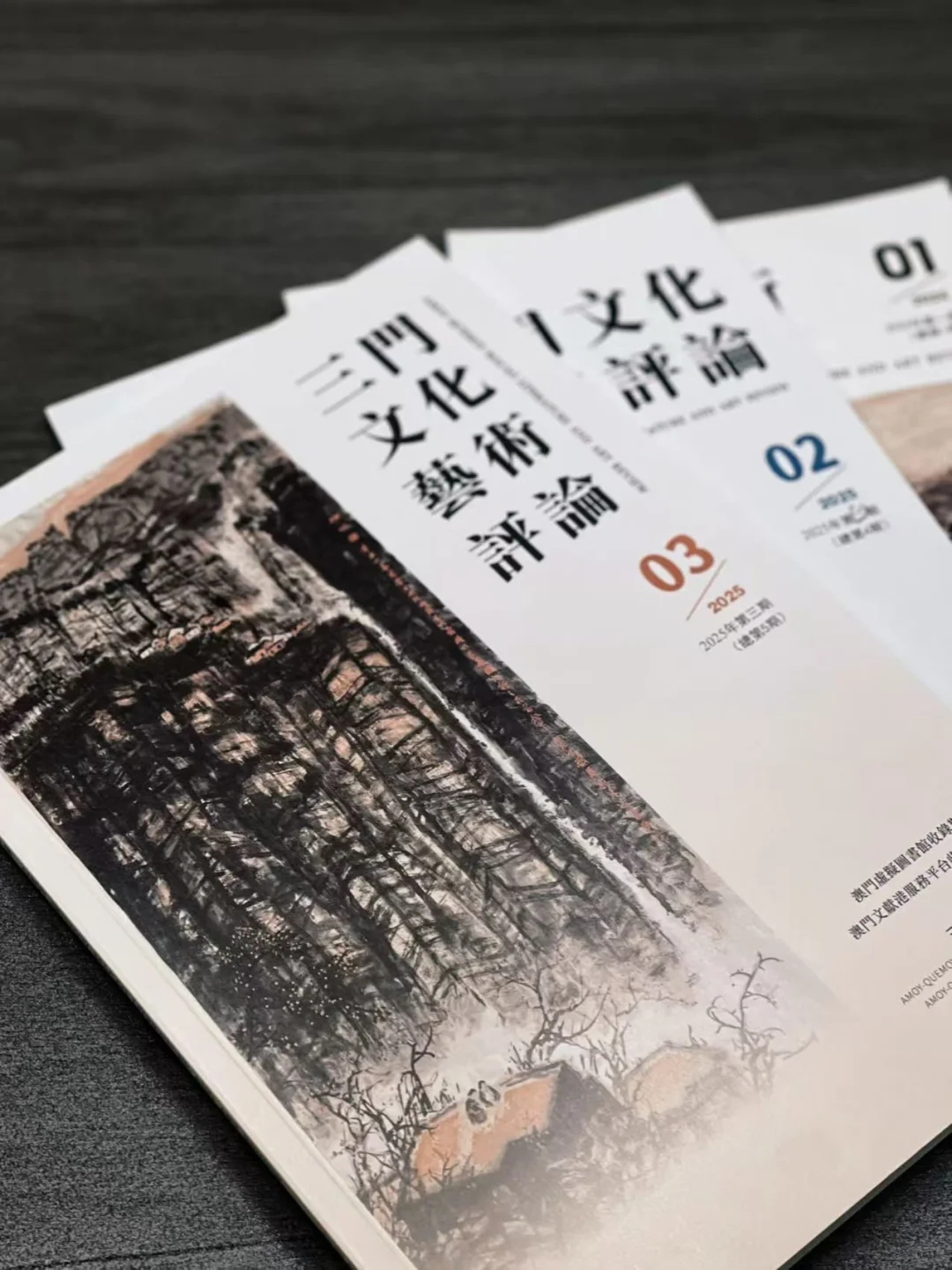 标题：期刊推介｜《三门文化艺术评论》