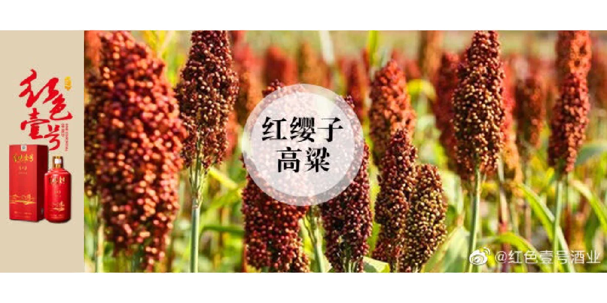 酱香白酒中蕴含的7种文化(2-1)