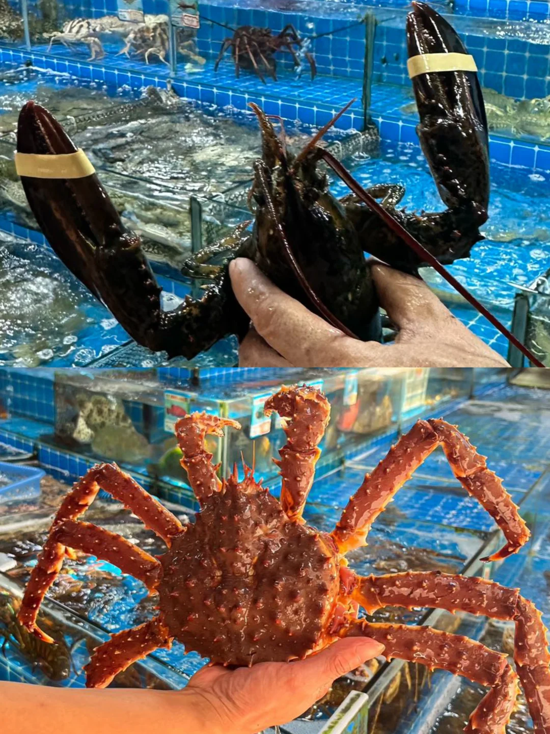 三亚海鲜控必冲!市场4楼藏了18年的老味道